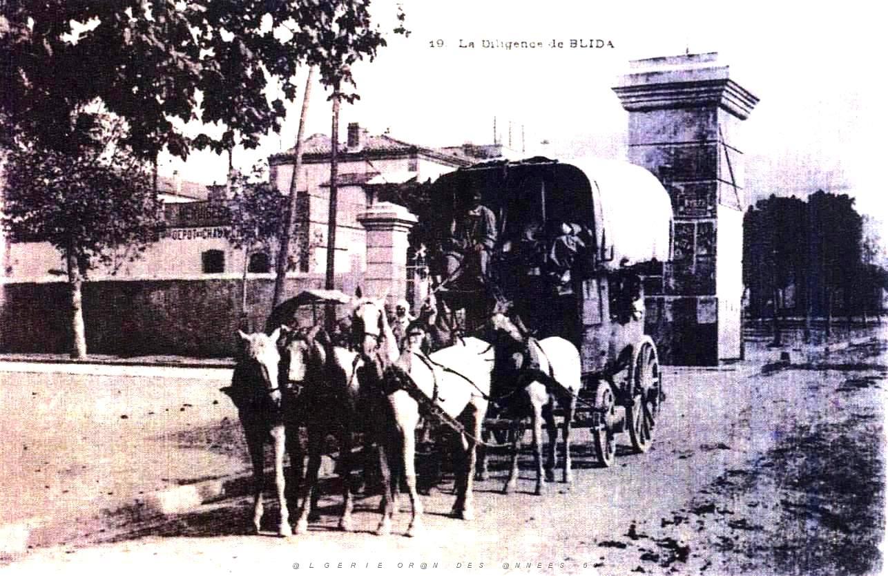 Images d'Algerie 215.jpg